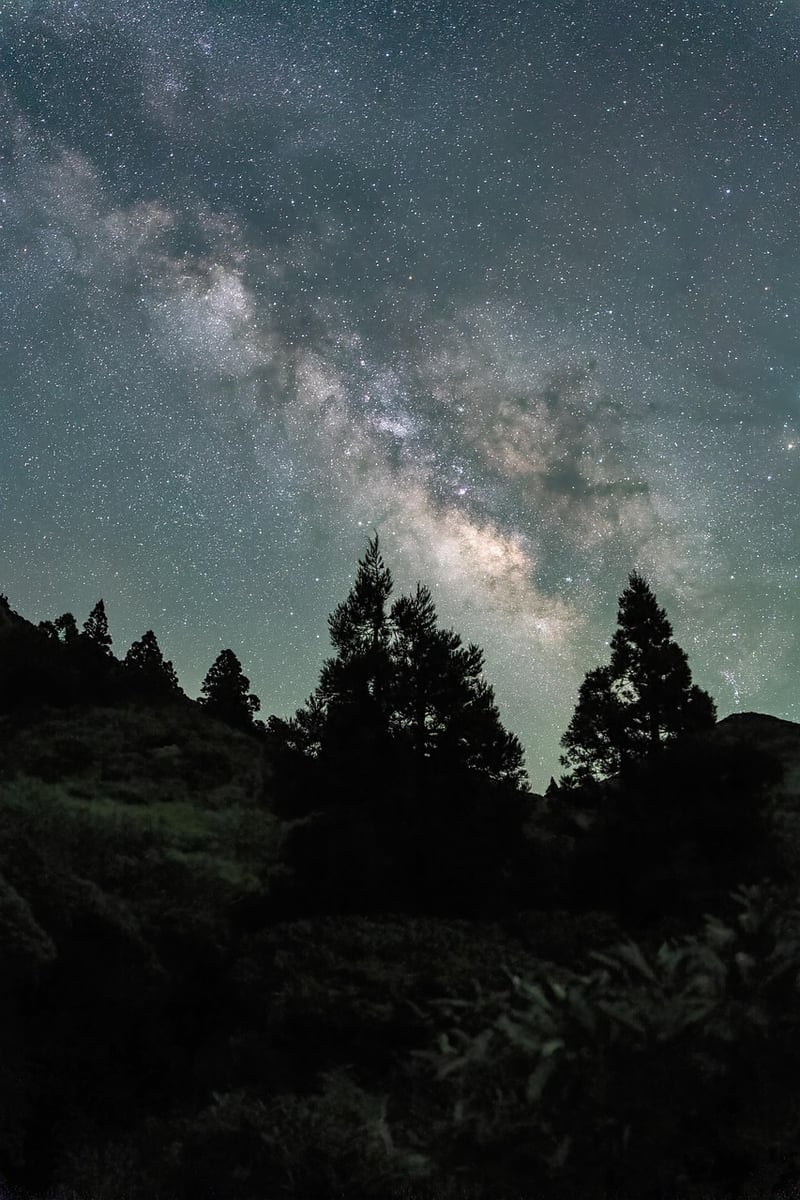 Milky Way Galas